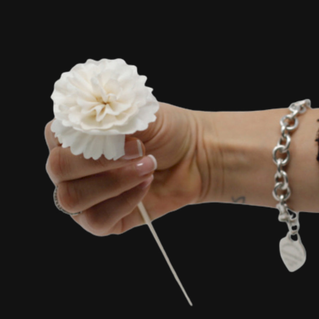 Dabīgs ziedu difuzors — krustnagliņa