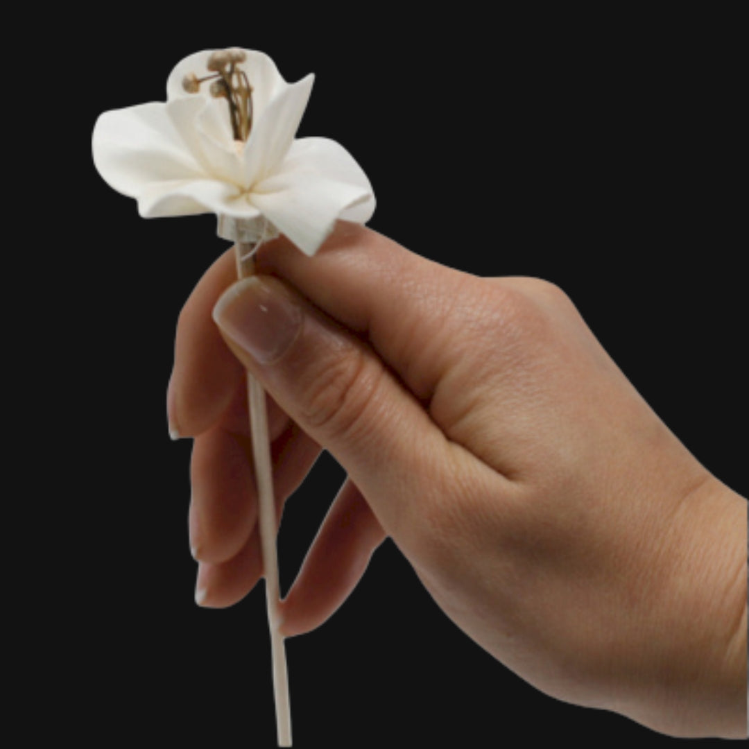 Dabīgs ziedu difuzors — lilija