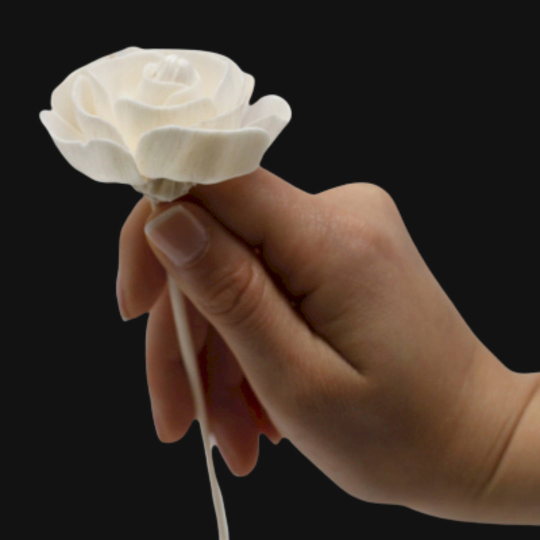 Dabīgs ziedu difuzors — roze