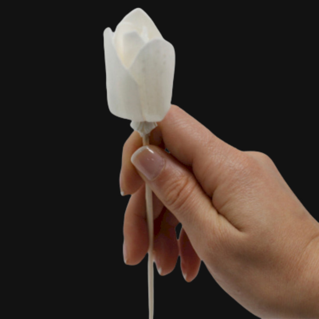 Dabīgs ziedu difuzors — tulpe