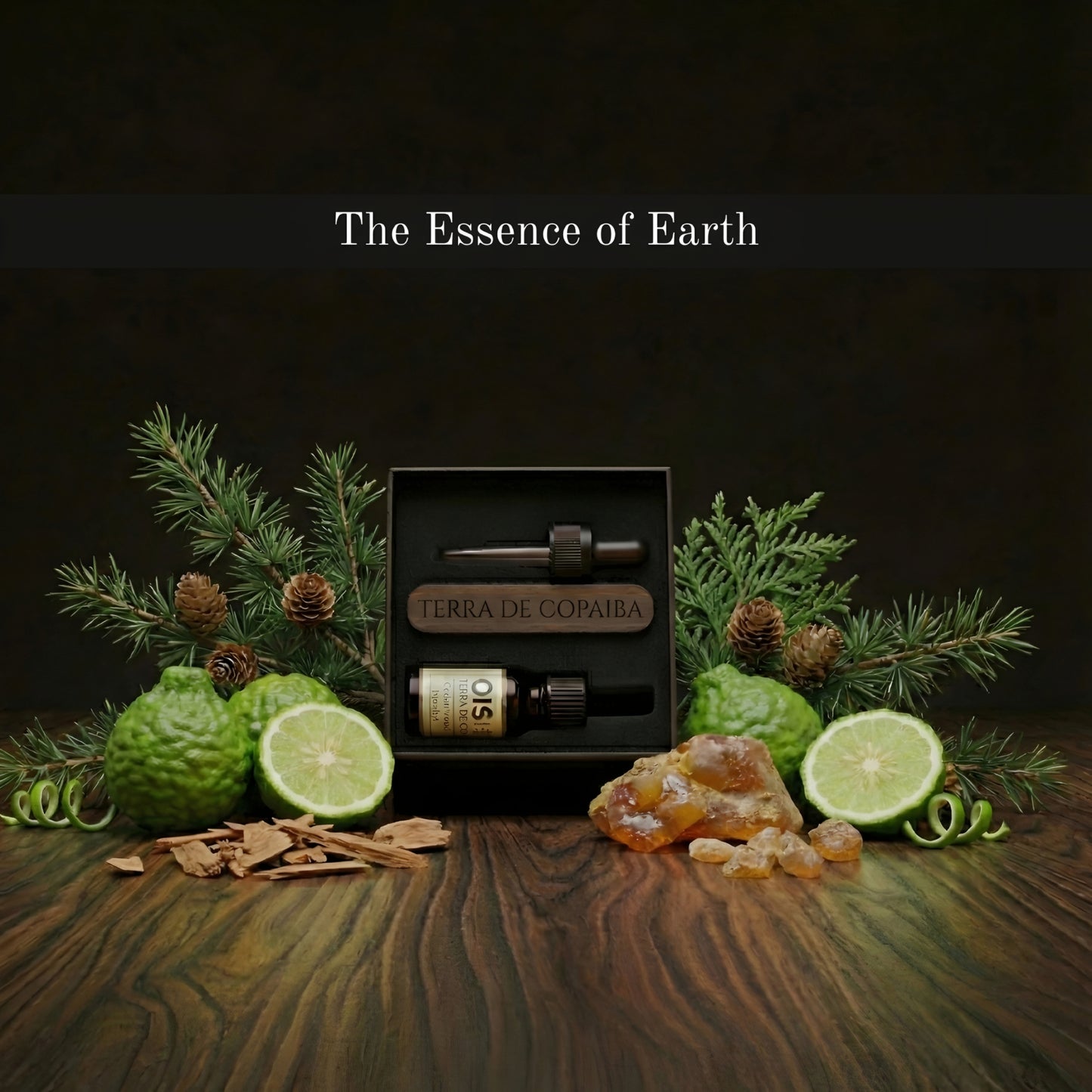 OIScar Terra De Copaiba